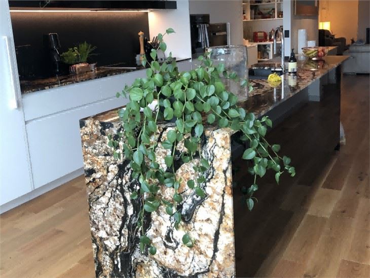 Black Granite Island Top