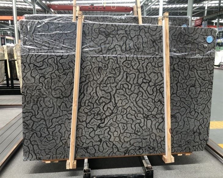 Turtle Venato Marble polished slabs